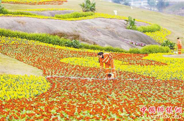 <b>重庆渝北38个城乡结合部变身靓丽风景线</b>