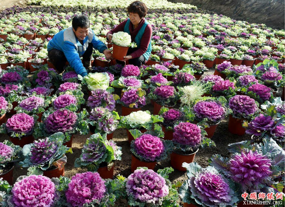 财政部政策组合拳助力融资担保支小支农