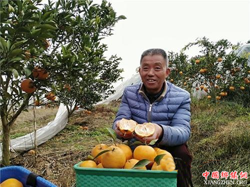 <b>四川中江县：“快乐农夫”的田园梦</b>