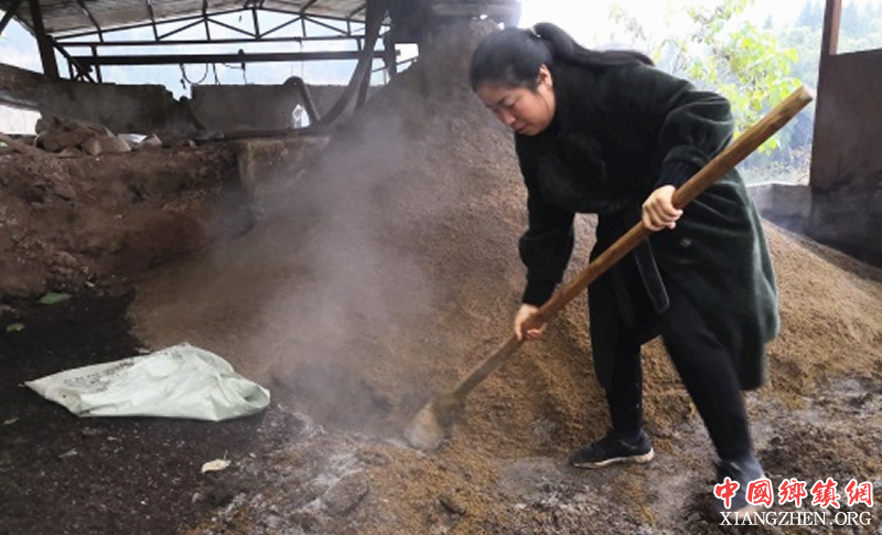<b>西充：变“粪”为宝 女设计师辞职回乡养虫子</b>