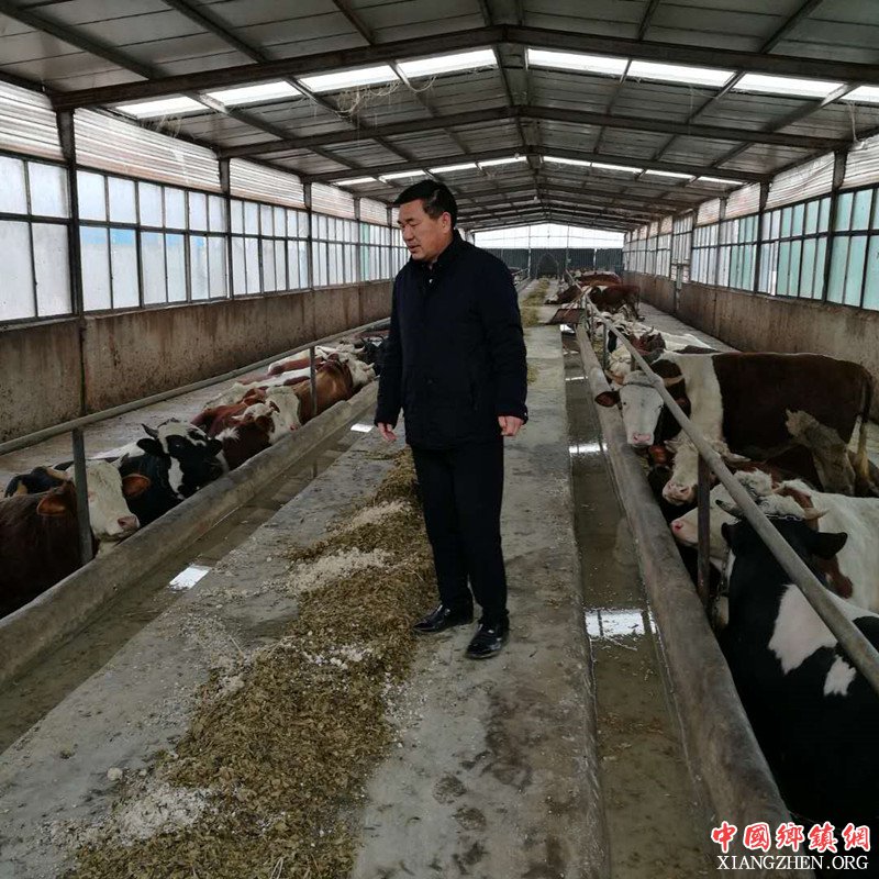 <b>科学养牛先致富   致富不忘贫困户</b>