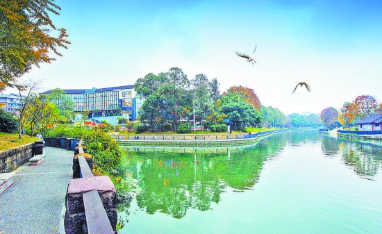 <b>成都锦江24小时美不停！</b>