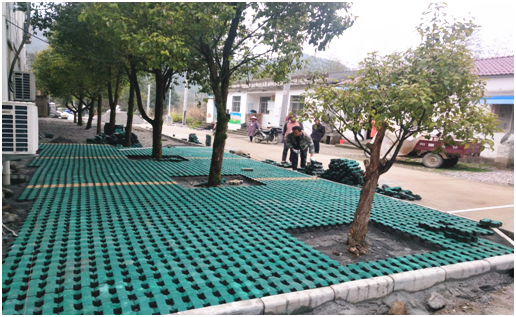 <b>安徽棠溪镇花庙村：村庄三月美，旧貌换新颜</b>