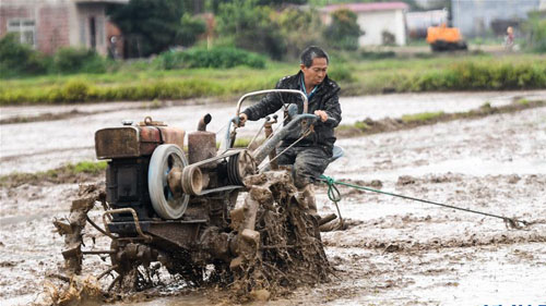 <b>“冷尾暖头”忙春种</b>
