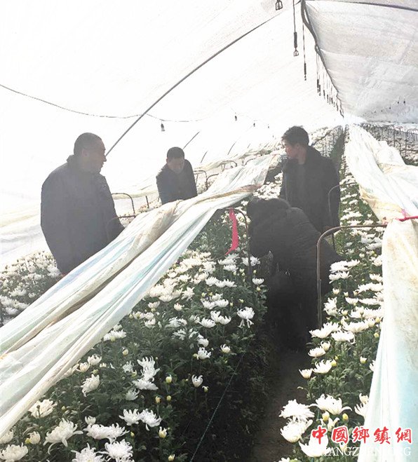 <b>方福堂：身残志坚 带领乡亲脱贫致富</b>