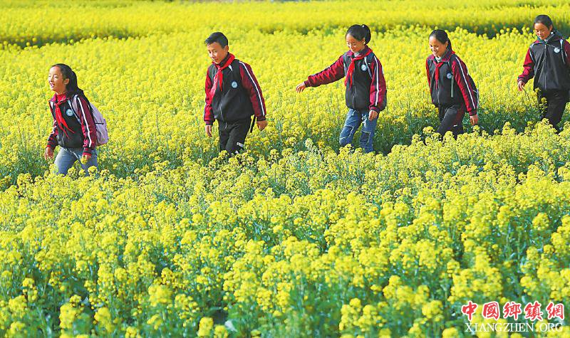 <b>四川凉山：春风来 花儿开</b>
