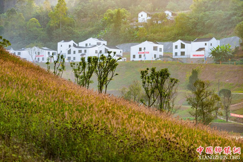 <b>四川：自贡自流井区积极发展“美丽经济”</b>