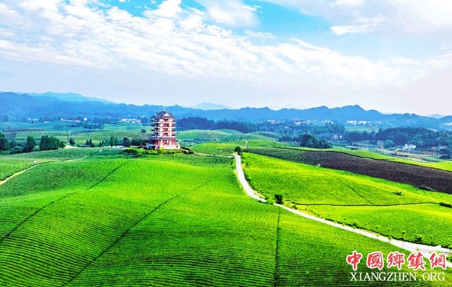 <b>致富路 小康路 幸福路</b>