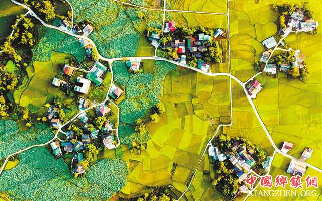 <b>重庆梁平建成高标准农田57万亩</b>