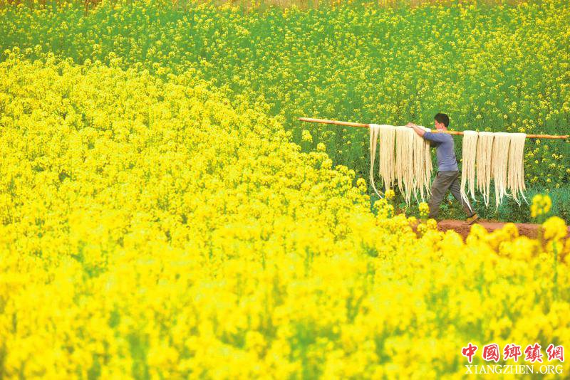 <b>四川内江：春日粉条晾晒忙</b>