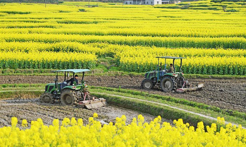 <b>春分将至农事忙</b>