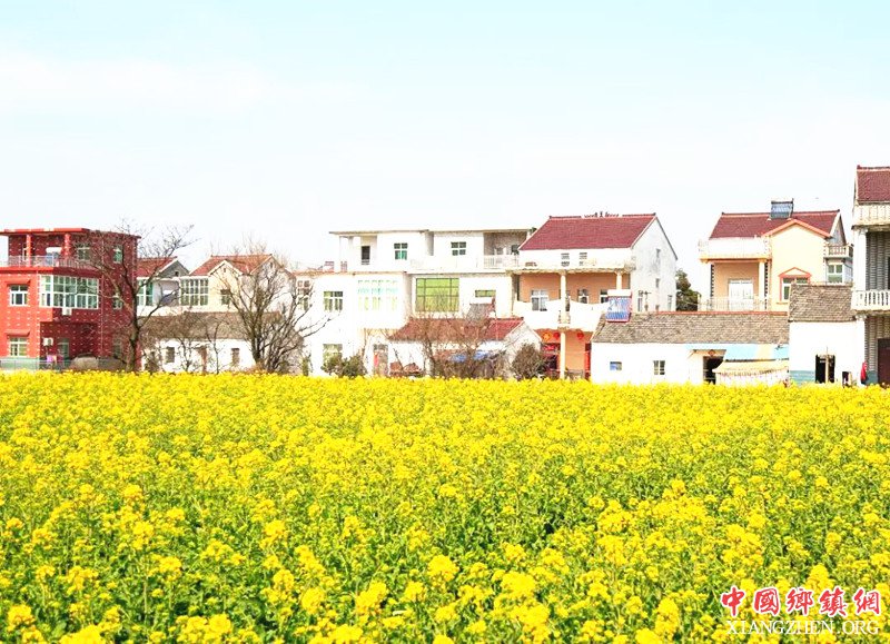 <b>安徽郑蒲港新区：统筹兼顾非贫困村发展 提升群众满意度</b>