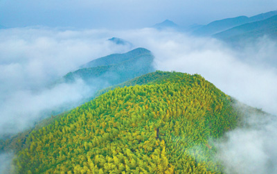 <b>浙江德清：有个庾村（新时代之光）</b>