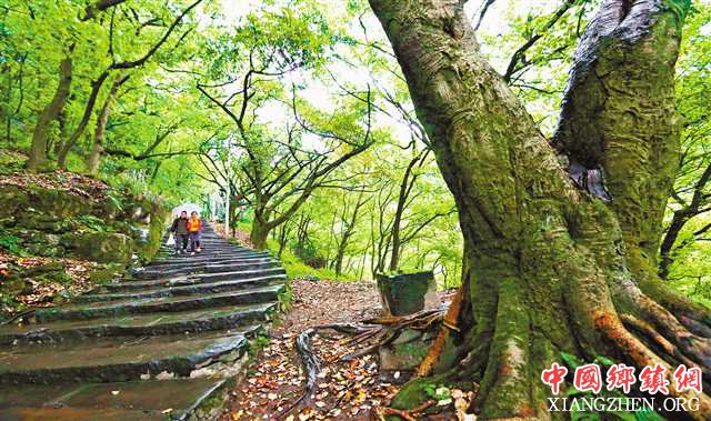 <b>建设山城步道 打造美丽之地幸福路</b>