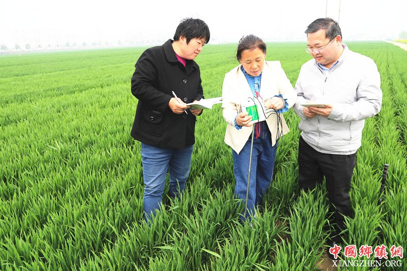 <b>安徽颍东：“三定”监测助田管</b>