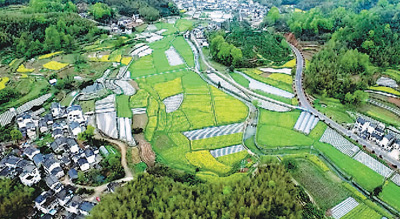 <b>宜居宜业宜游 徽州田园景如画</b>