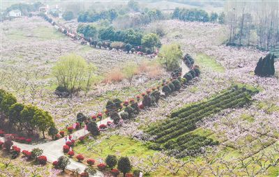 <b>江苏各地农村深耕细作“美丽经济”</b>