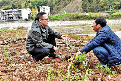 <b>曾堰：把“办公室”搬进田间地头 让苦变成甜</b>