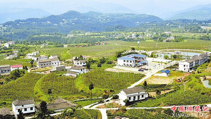 <b>四川扎实推进 国家农产品质量安全县（市）创建</b>