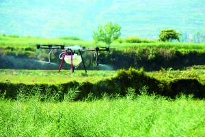 <b>开阳禾丰乡用无人机喷洒农药 实施油菜病虫害防治</b>