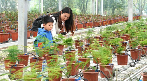 <b>“开心农场”里体验现代农业</b>