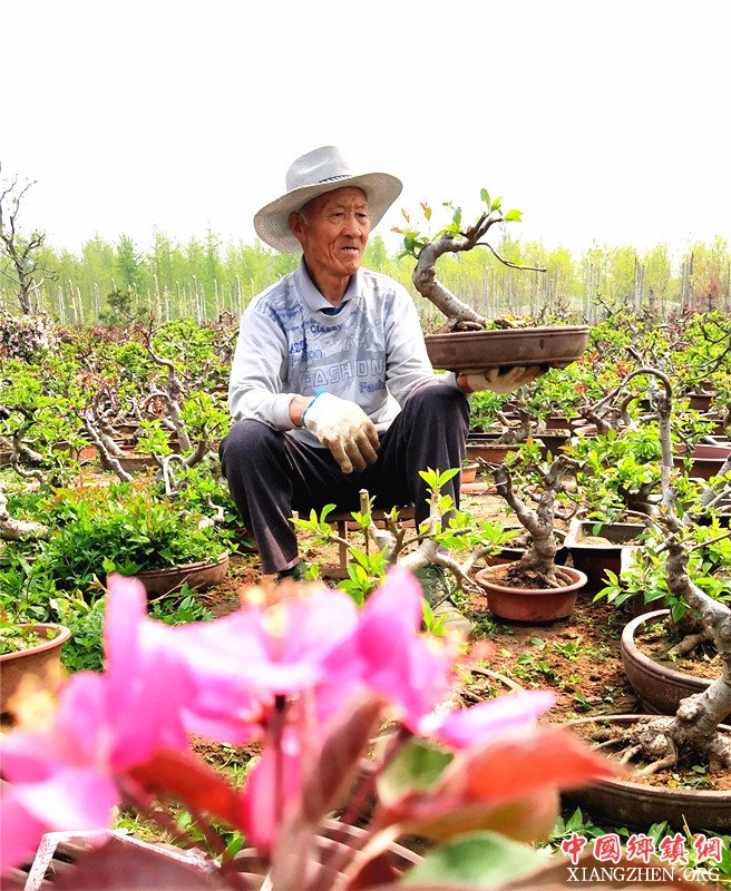 <b>郯城：73岁老人刘明亮凭“手艺”摆脱“穷帽”</b>