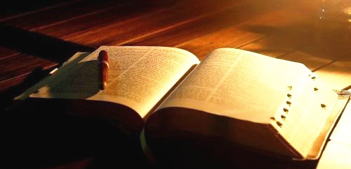 <b>2018年，你读了几本书</b>