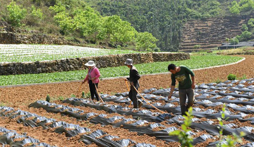 <b>春耕播种忙</b>