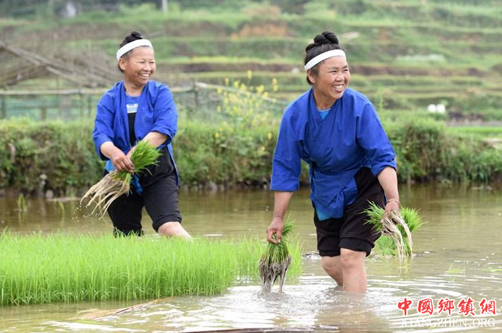<b>广西三江：侗寨谷雨景如画</b>
