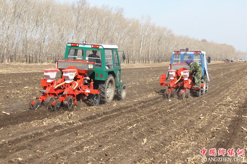 <b>黑龙江依安奋斗村：7800亩甜菜抢墒播种</b>