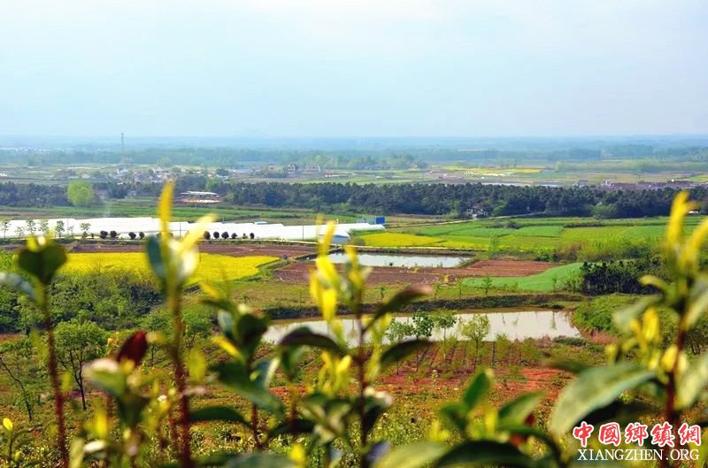 安徽和县：绿色产业带动贫困户脱贫致富