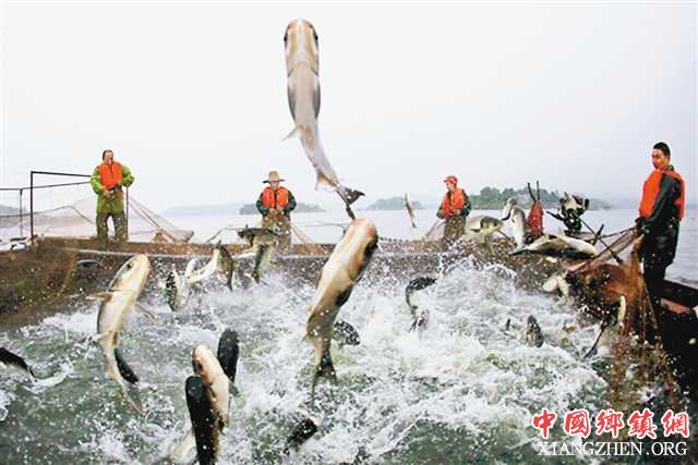 <b>长寿打造重庆最大有机水产品基地</b>