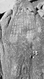 甘孜州首次发现唐蕃时期藏棋石刻棋盘