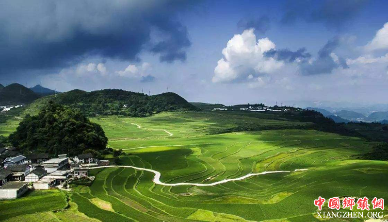 <b>四川晒出一季度农业农村经济“成绩单”</b>