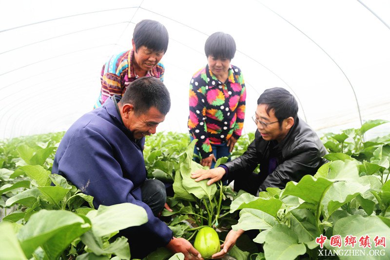 <b>安徽颍东：“三品一标”引领富路</b>