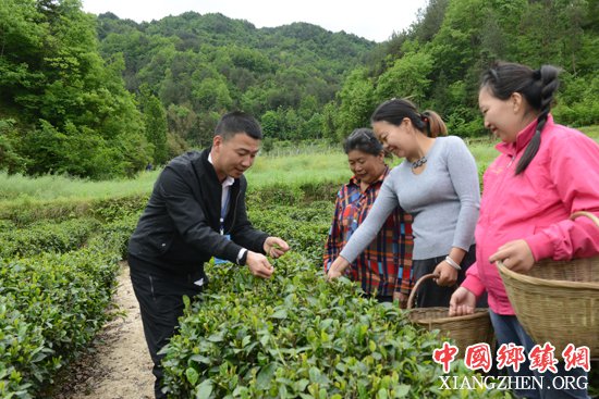 <b>张可：产业扶贫带头人</b>