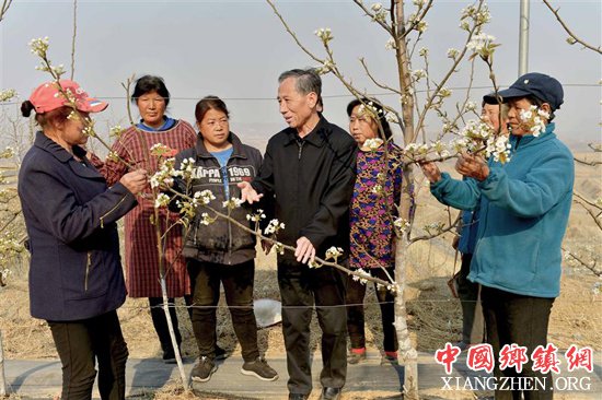 <b>刘济伟：追梦脱贫攻坚的“林果县长”</b>
