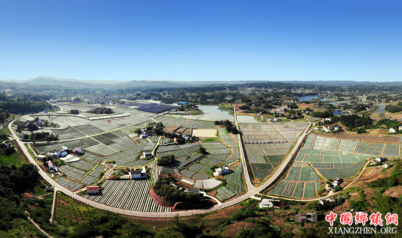 <b>泸州江阳：田园上“绣花”让乡村活力四射</b>