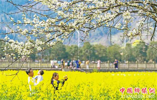 <b>南川构建浓妆淡抹总相宜的水墨乡村</b>