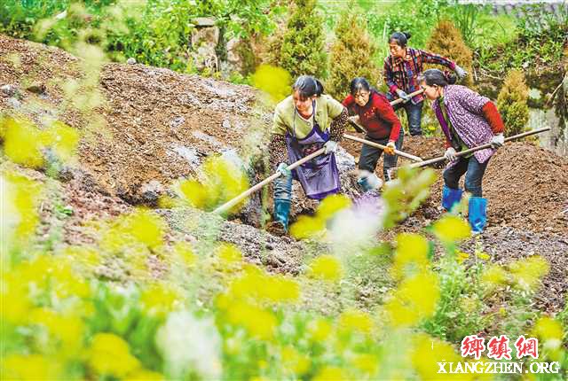 <b>以党建引领脱贫攻坚 干部群众干劲十足</b>