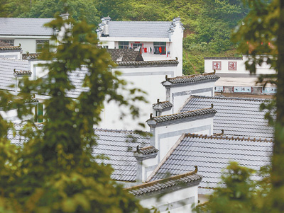 <b>“红军村”变美了</b>