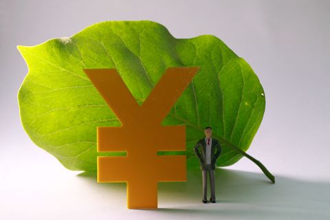 <b>绿色金融政策体系构建打出组合拳</b>