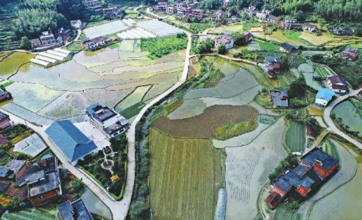 <b>乡村振兴面貌新</b>