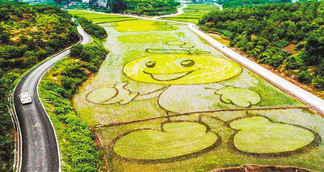 <b>300亩七彩水稻扮靓忠县“三峡橘乡”</b>