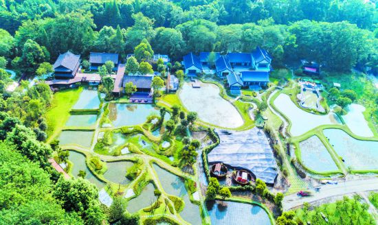 <b>这一试 试出了一个“桃花源”</b>