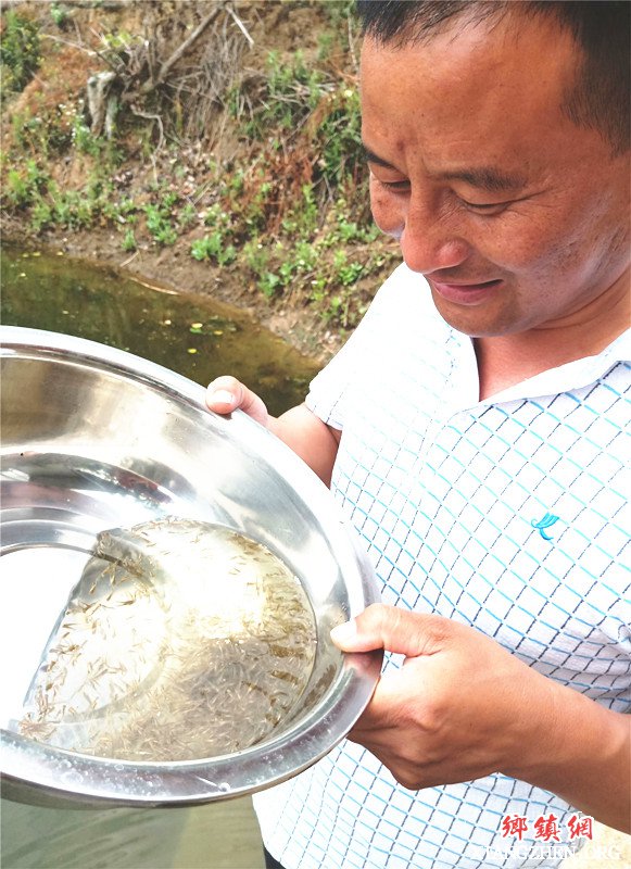 <b>郯城：农民倪长征靠科技孵化鱼苗捧起了“聚宝盆”</b>