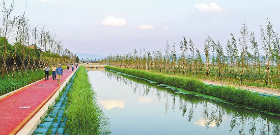 云南杞麓湖截污生态调蓄带美如画