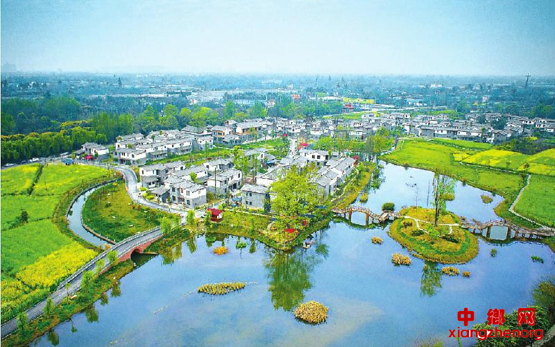 <b>成都市郫都区：多规合一 最美乡村房子给树让路</b>