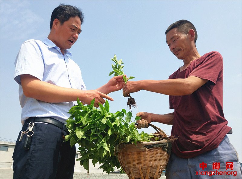 <b>王连平种红辣椒日子好“红火”</b>