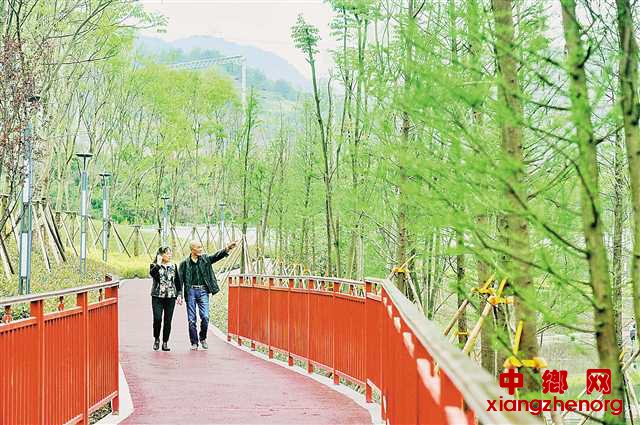 <b>重庆九龙坡：“步道+”模式打造12条特色小路</b>